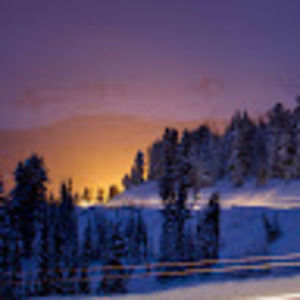 Meet your Posher, Kinsey